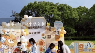 丽水市白云小学如何？