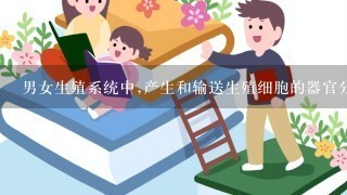 男女生殖系统中,产生和输送生殖细胞的器官分别是什么?