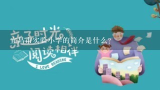 宜昌市实验小学的简介是什么？