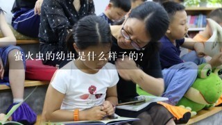 萤火虫的幼虫是什么样子的？