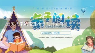 重庆科学城南开小学是公立吗