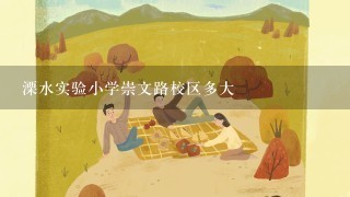 溧水实验小学崇文路校区多大